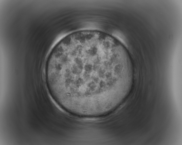 X0000085241468200703301737