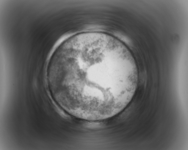 X0000085241470200703301737