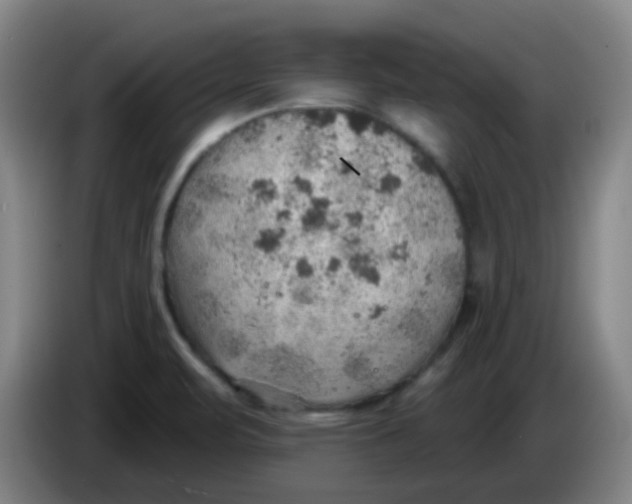 X0000085241471200703301737