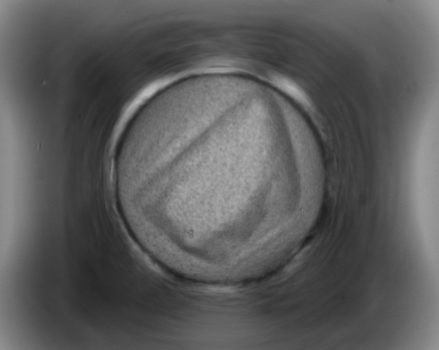 X0000085241472200703301737