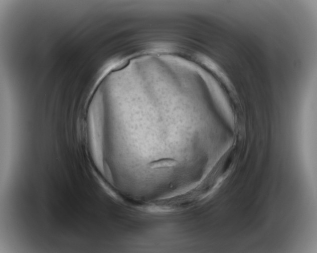 X0000085241473200703301737