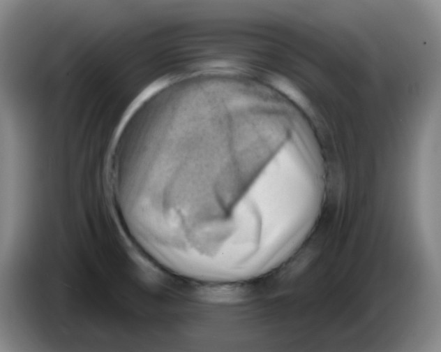 X0000085241474200703301737