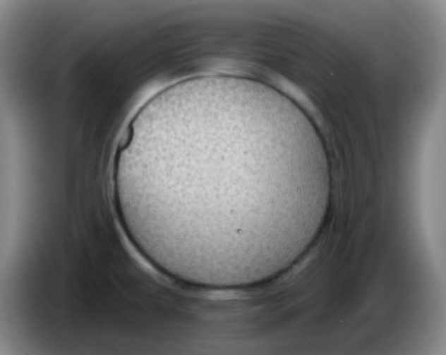 X0000085241479200703301737