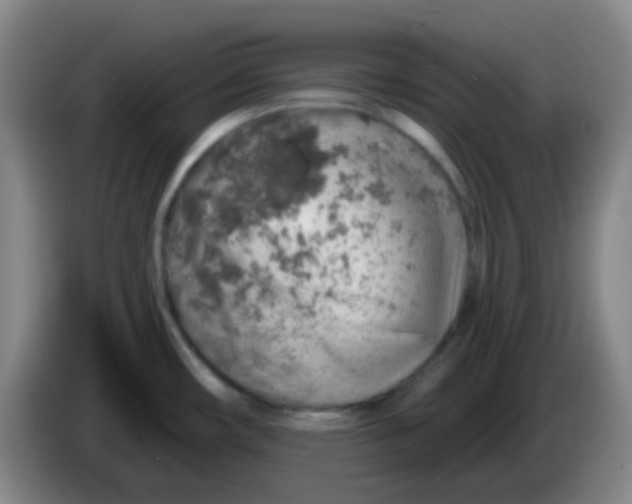 X0000085241482200703301737