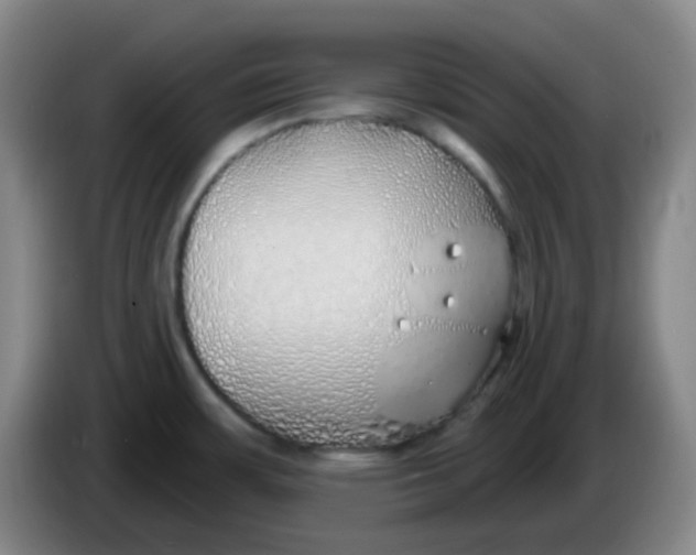 X0000085241483200703301737