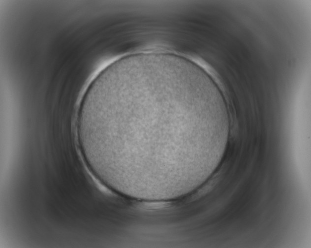 X0000085241486200703301737