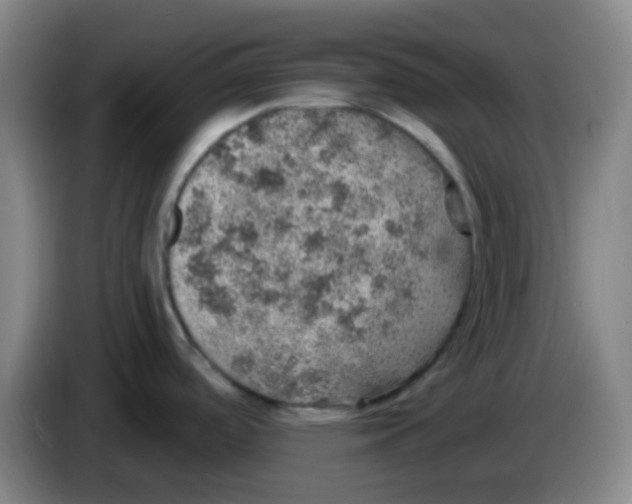 X0000085241488200703301736