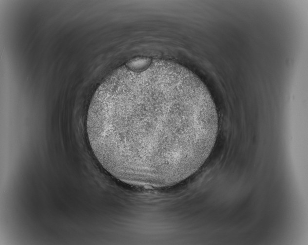 X0000085241489200703301736