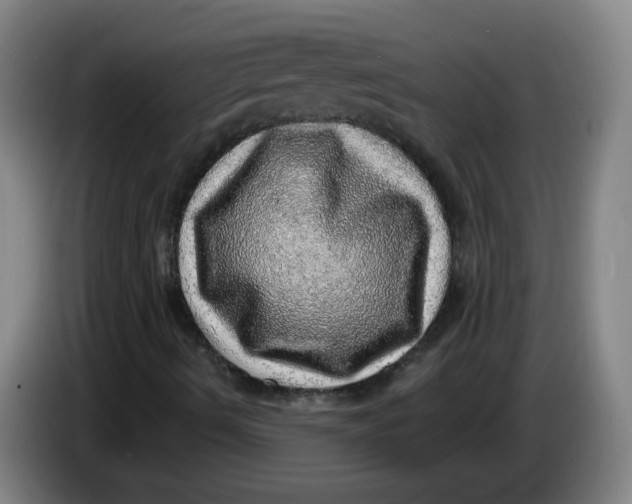 X0000085241490200703301736