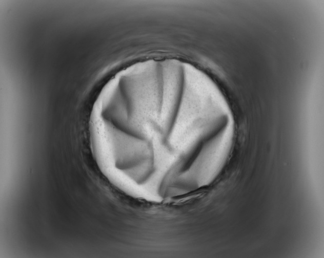 X0000085241496200703301736