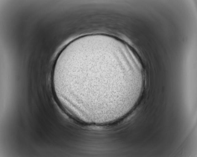 X0000085241500200703301736