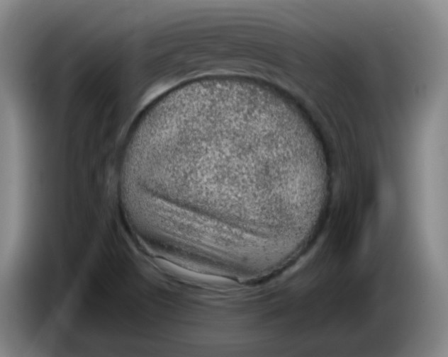 X0000085241505200703301736