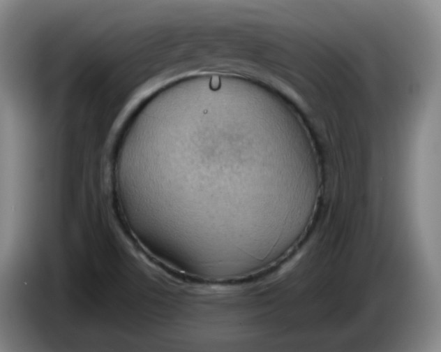 X0000085241506200703301736