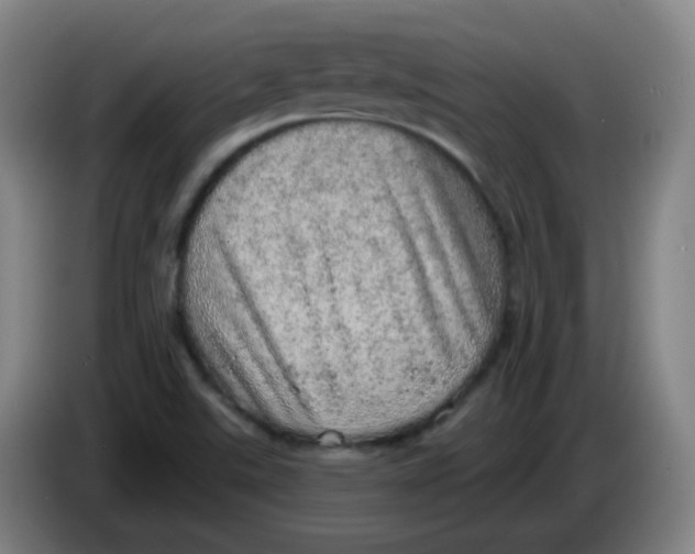 X0000085241507200703301736