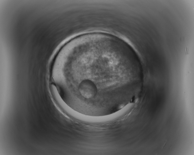 X0000085241508200703301736