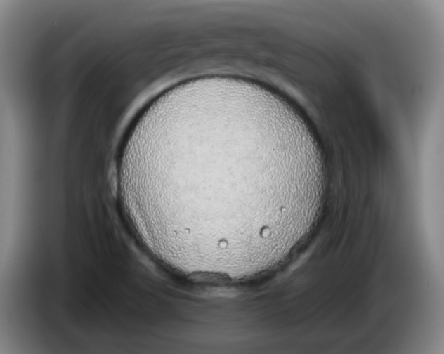 X0000085241509200703301736