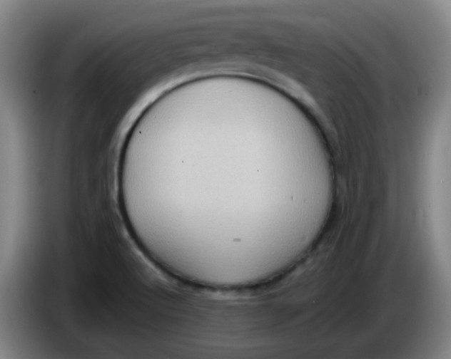 X0000085241512200703301736