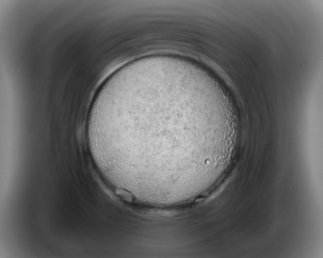 X0000085241513200703301736