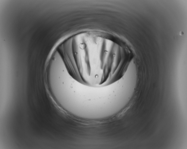 X0000085241514200703301736