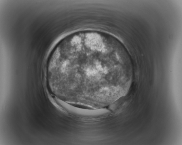 X0000085241515200703301736