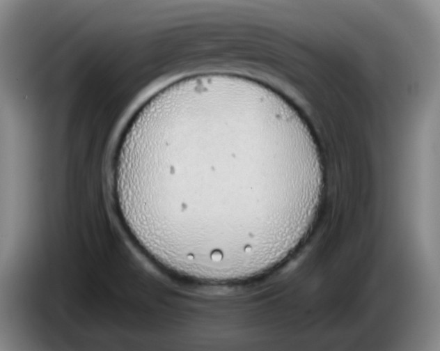 X0000085241517200703301736