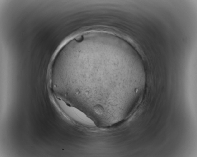 X0000085241522200703301736