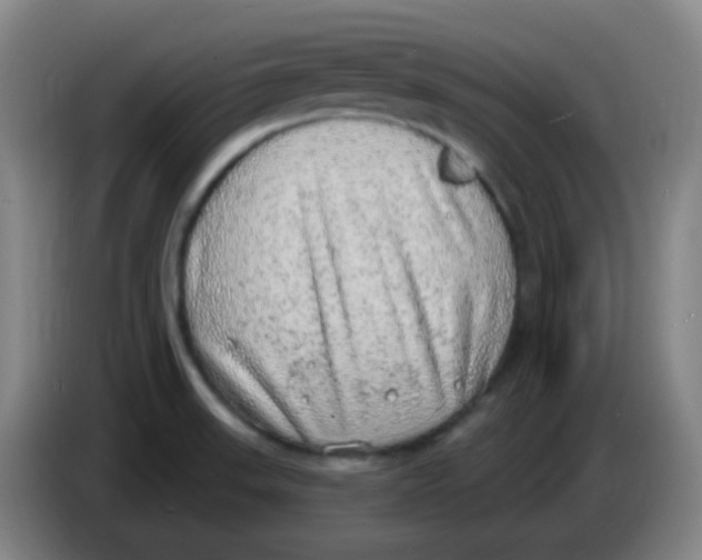 X0000085241523200703301736
