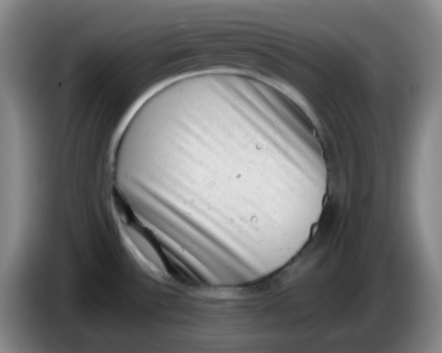 X0000085241532200703301736