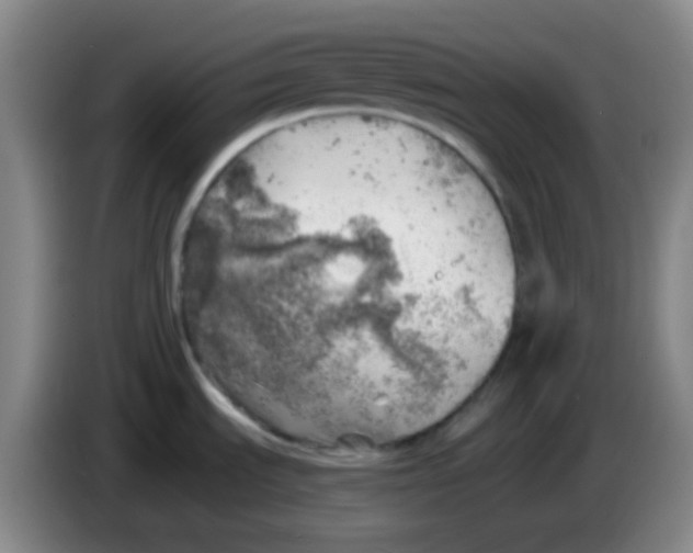 X0000085241535200703301736