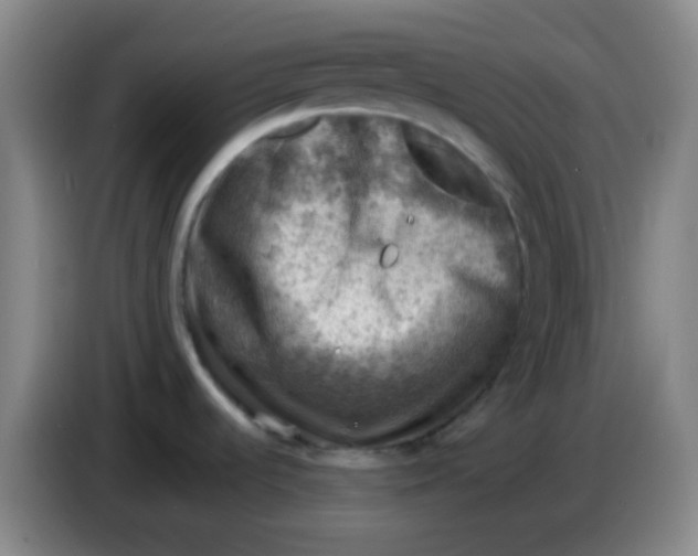 X0000085241536200703301736