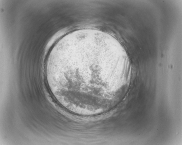 X0000085240006200704092035