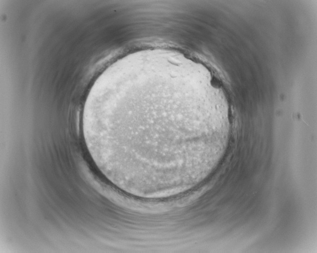 X0000085240014200704092035
