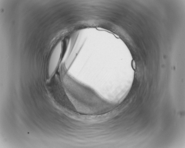 X0000085240023200704092035