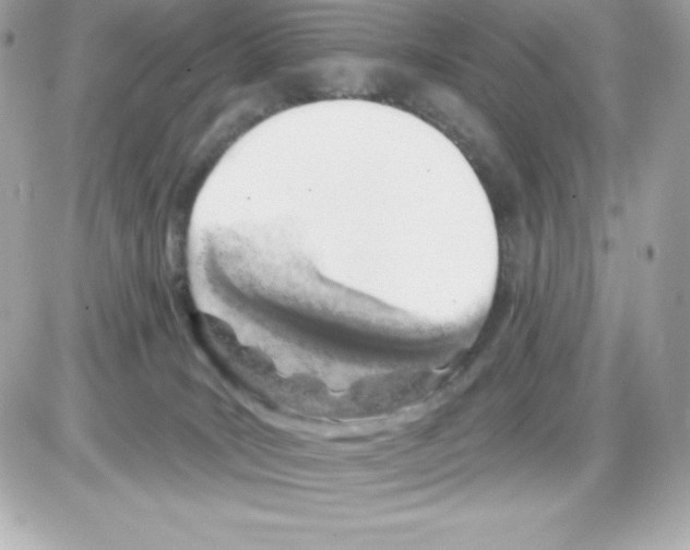 X0000085240035200704092034