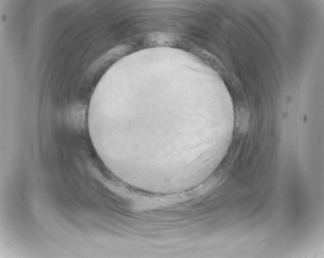 X0000085240036200704092034