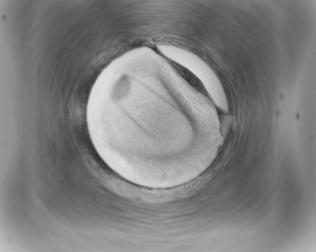 X0000085240039200704092034