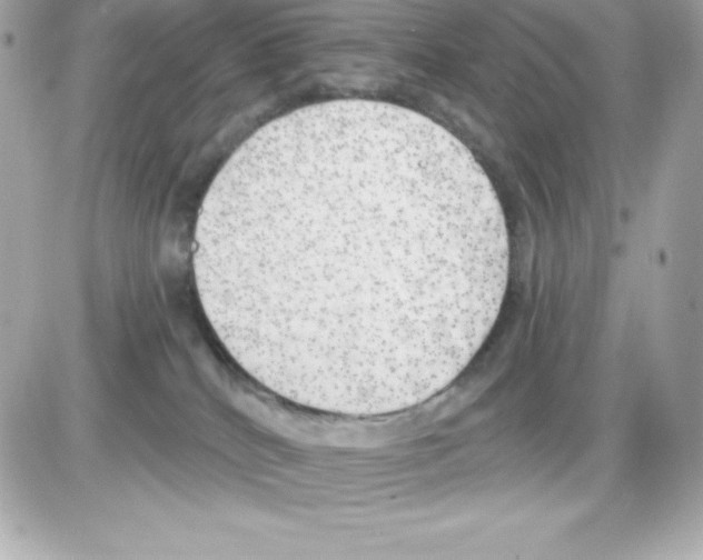 X0000085240040200704092034