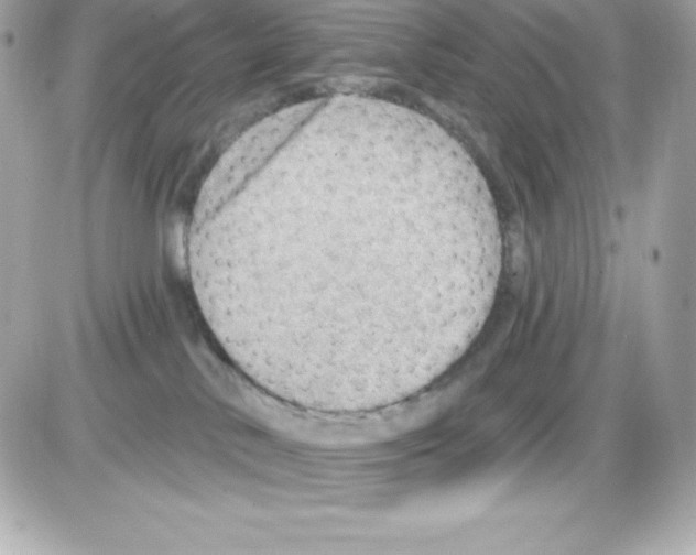 X0000085240042200704092034