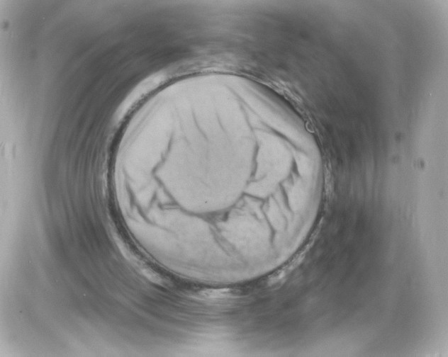X0000085240054200704092034