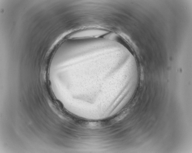 X0000085240060200704092034