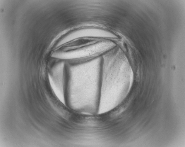 X0000085240064200704092034