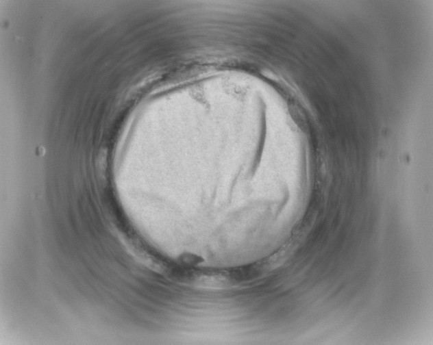 X0000085240066200704092034