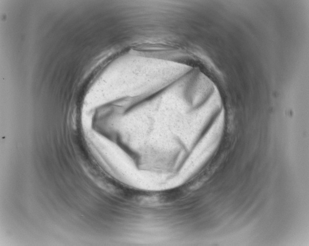 X0000085240068200704092034