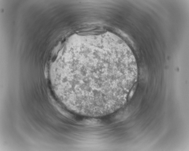 X0000085240069200704092034