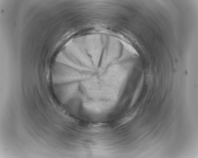 X0000085240072200704092034