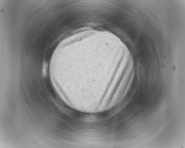 X0000085240075200704092034