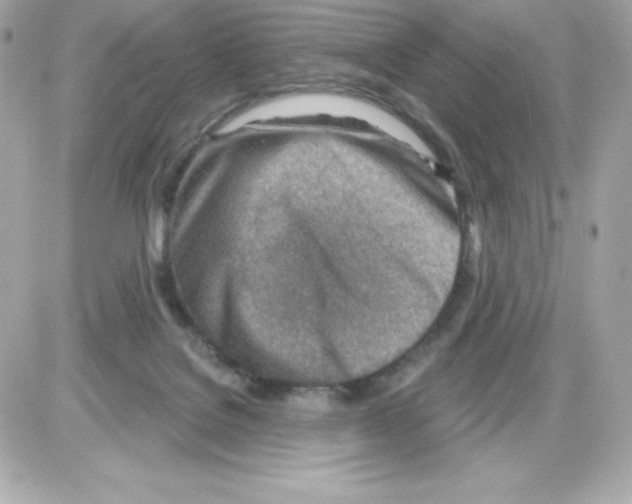 X0000085240076200704092034