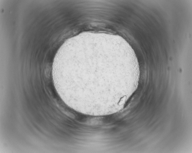 X0000085240078200704092034