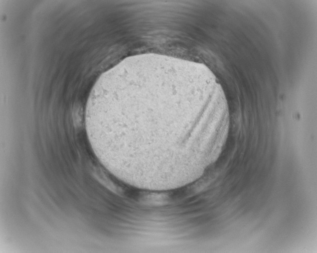 X0000085240081200704092034