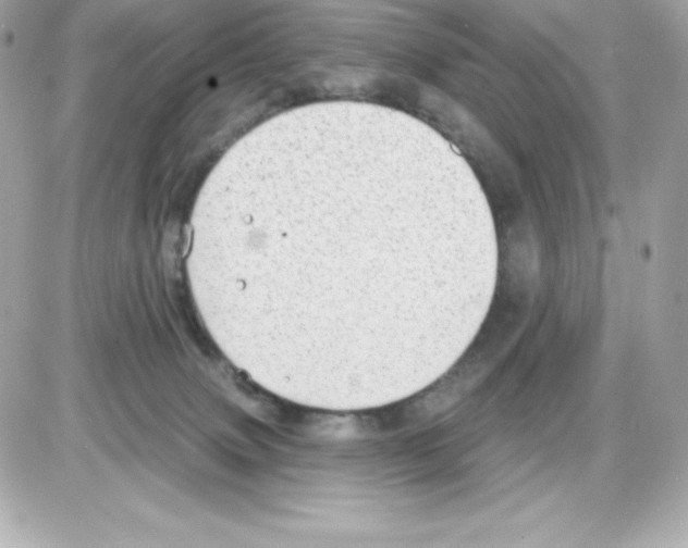 X0000085240083200704092034